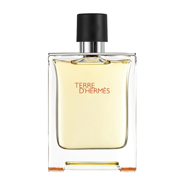Nước Hoa Hermes Terre D'Hermès EDT 100ml