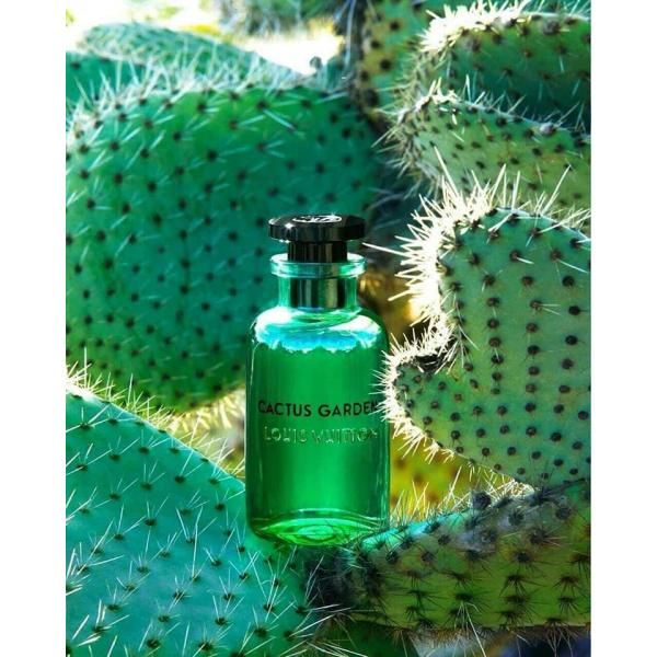 Nước hoa Louis Vuitton Cactus Garden 100ml