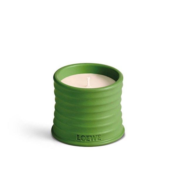 Nến LOEWE Luscious Pea 170g