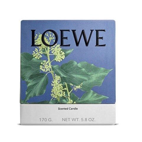 Nến LOEWE Ivy 170g