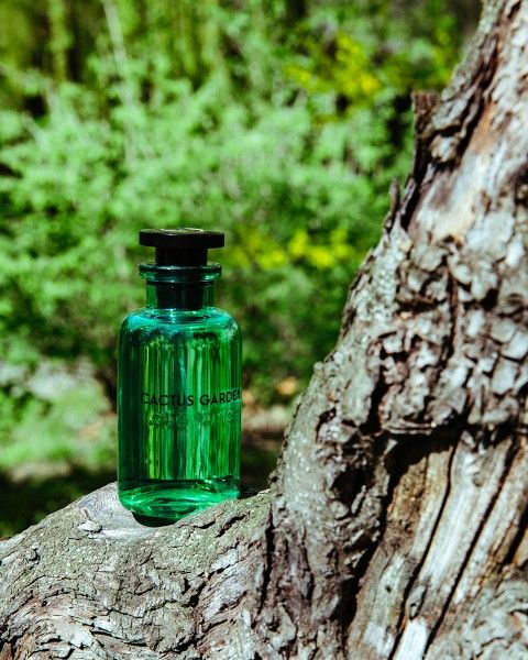 Nước hoa Louis Vuitton Cactus Garden 100ml