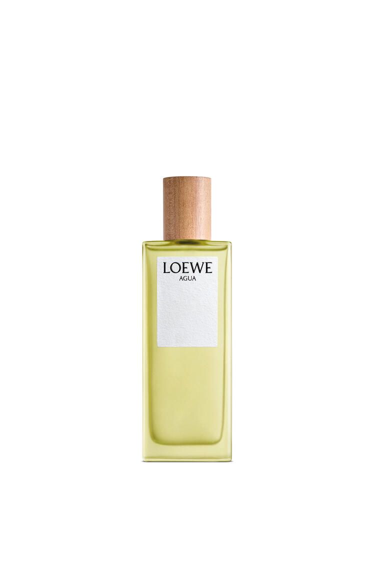 Nước hoa Loewe Agua 100ml