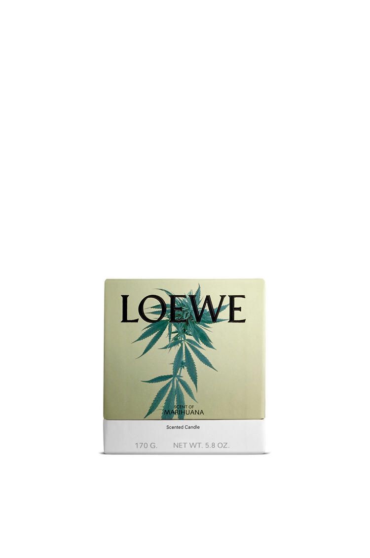 Nến thơm LOEWE Marihuana 170gr