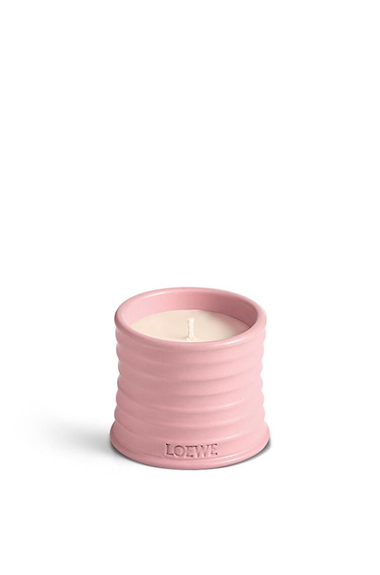 Nến LOEWE Ivy 170g