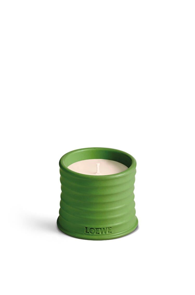 Nến LOEWE Luscious Pea 170g