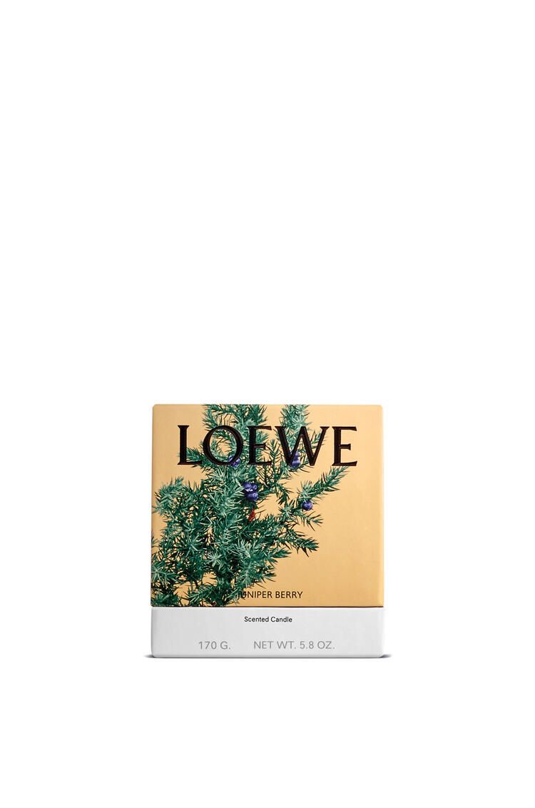 Nến thơm LOEWE Juniper Berry 170gr