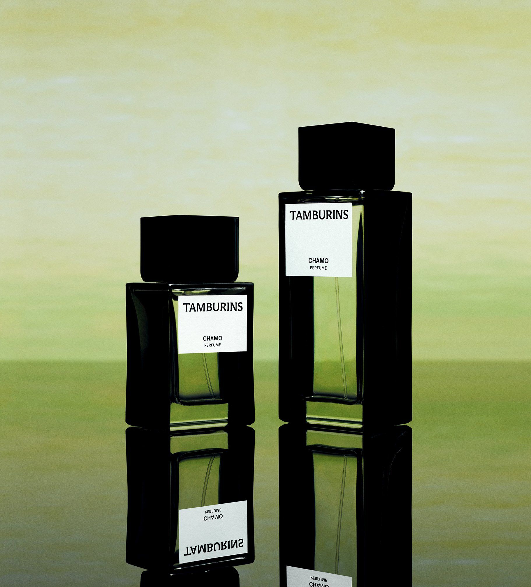 Nước hoa Tamburins Chamo 94ml