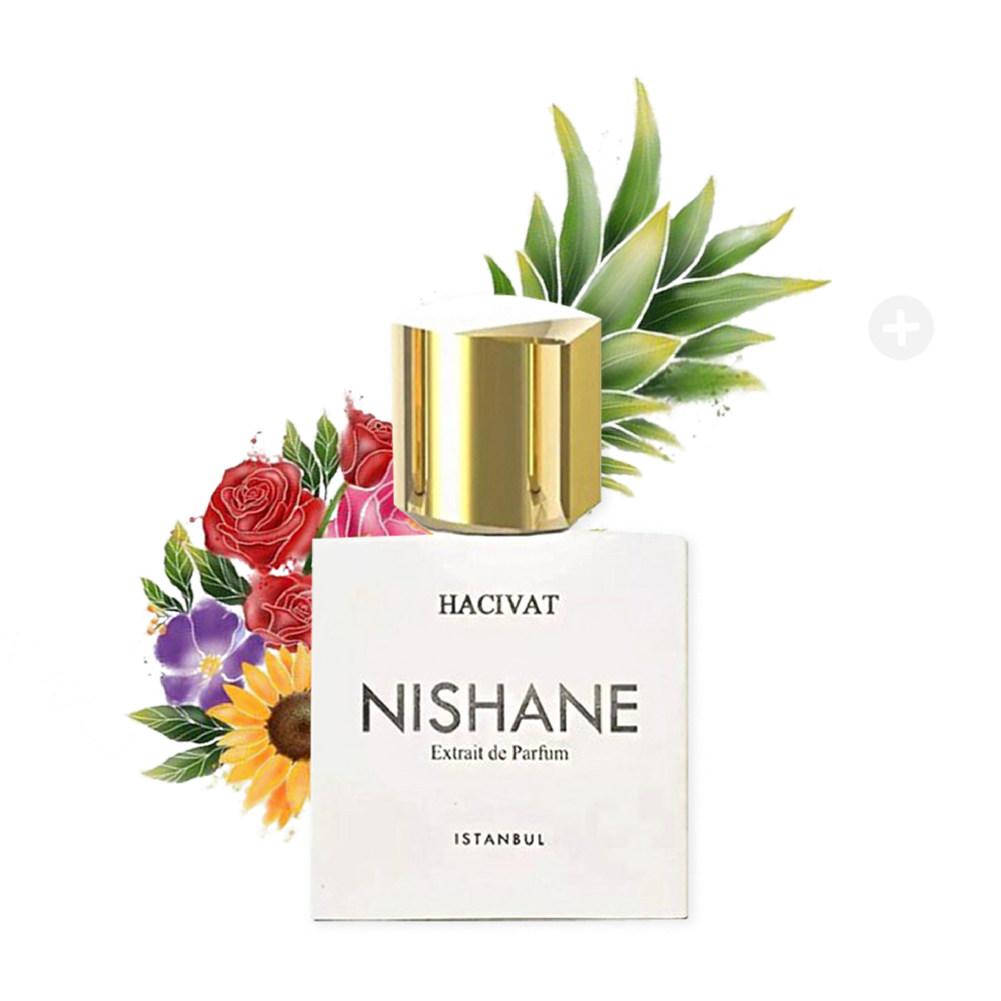 Nước hoa Nishane Hacivat 100ml