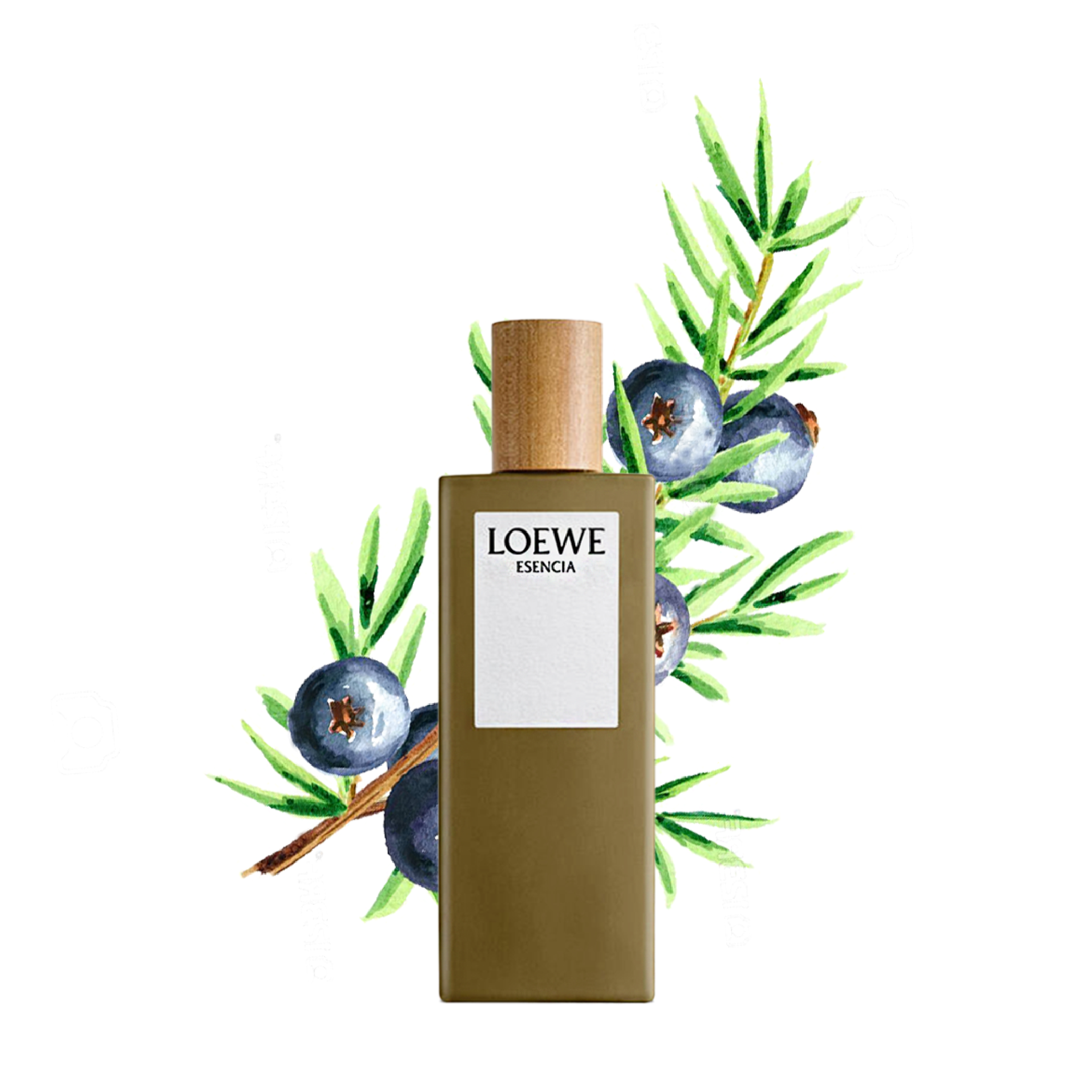 Nước hoa Loewe Esencia 100ml EDT