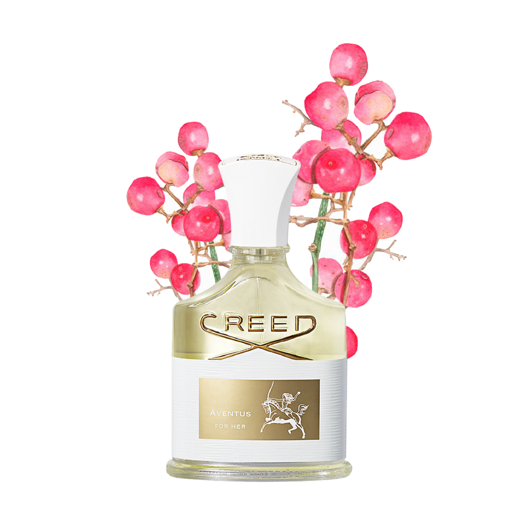 Creed_Aventus for her
