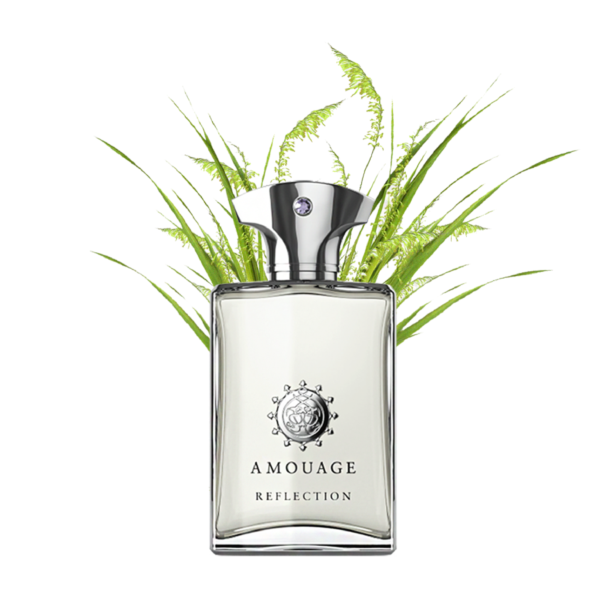 Nước hoa Amouage Reflection 100ml