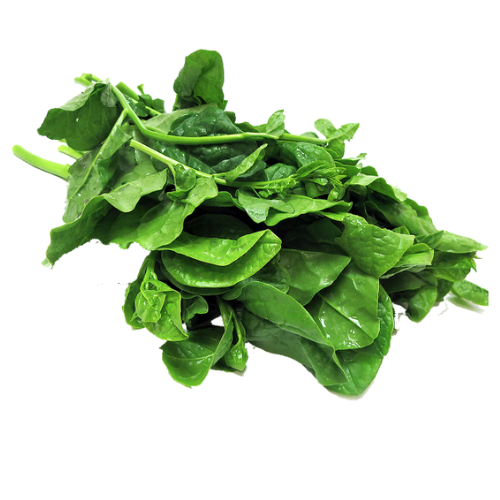 Mồng tơi (10g)