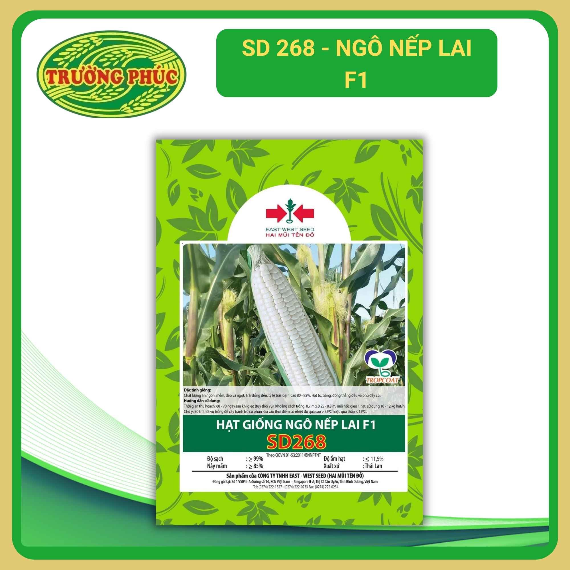 SD 268 - Ngô ( Bắp ) nếp lai F1 (100 g)
