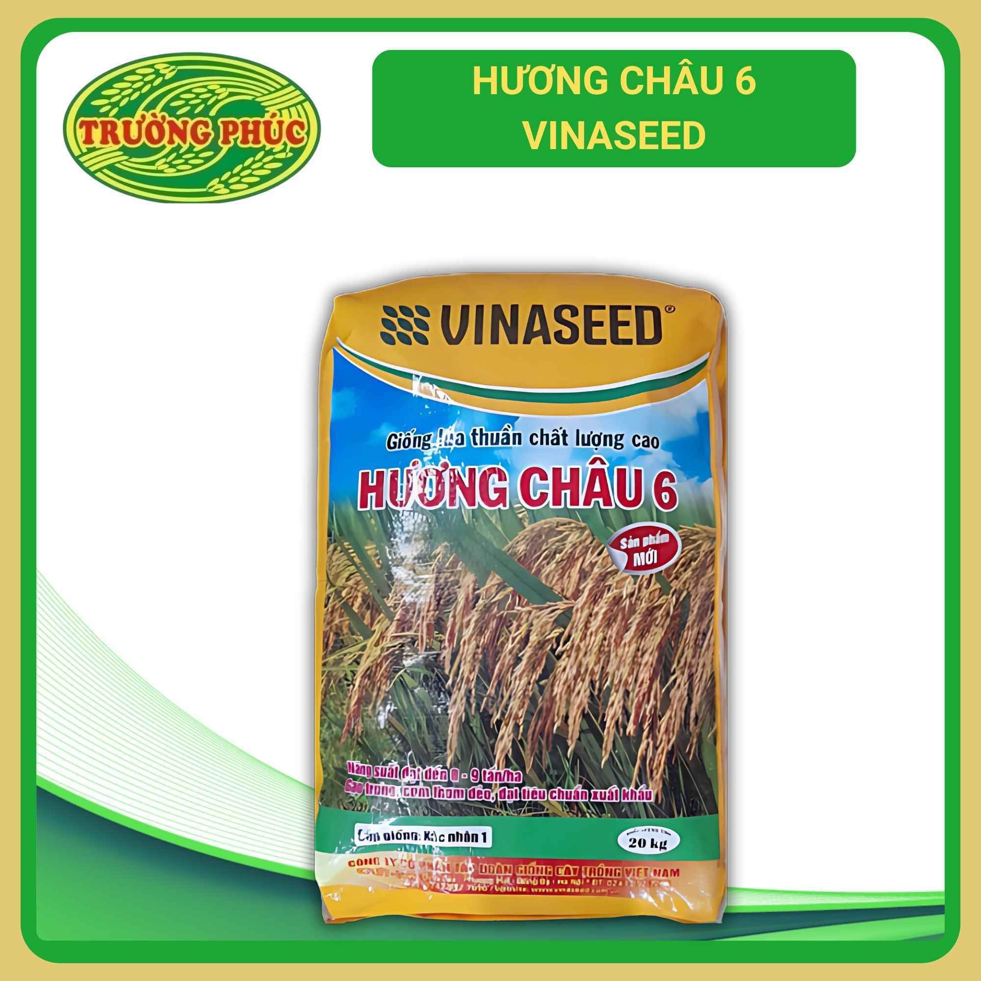 Hương Châu 6 VINASEED