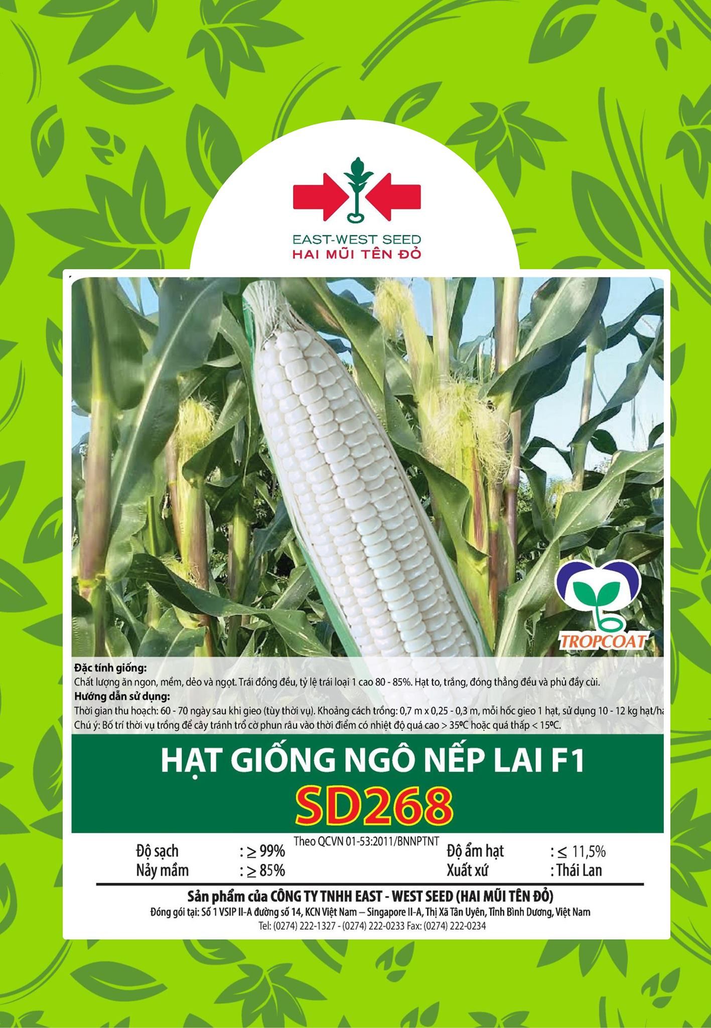SD 268 - Ngô ( Bắp ) nếp lai F1 (100 g)