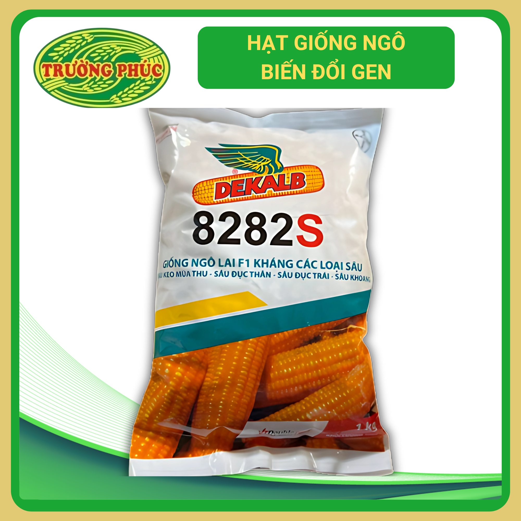 8282s - Ngô ( bắp) biến đổi gen (1 kg)