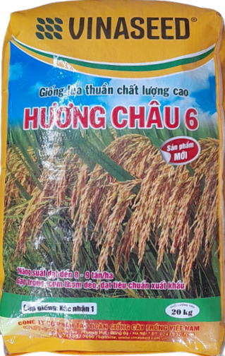 Hương Châu 6 VINASEED