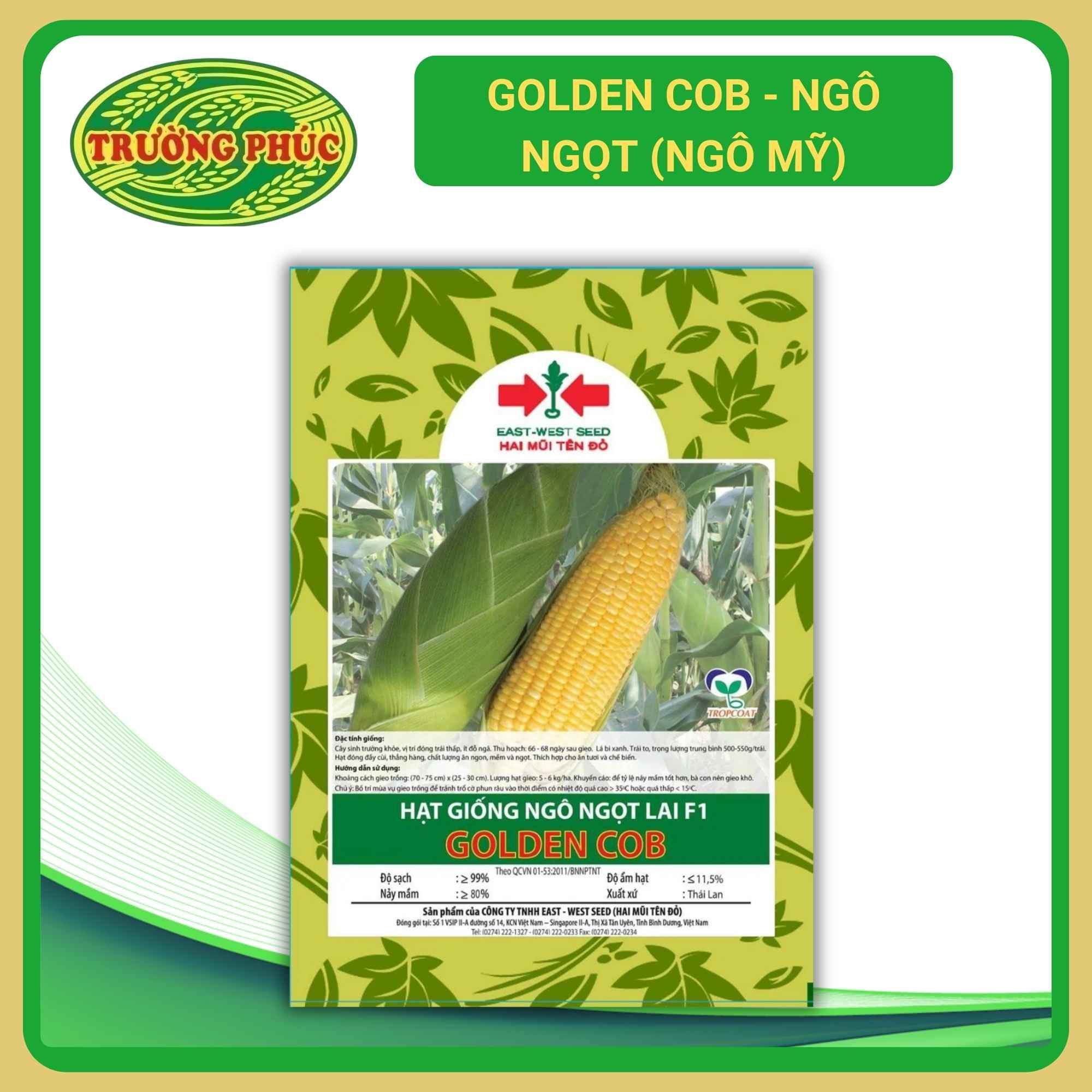Golden Cob - Ngô ngọt (Ngô Mỹ) ( bắp)