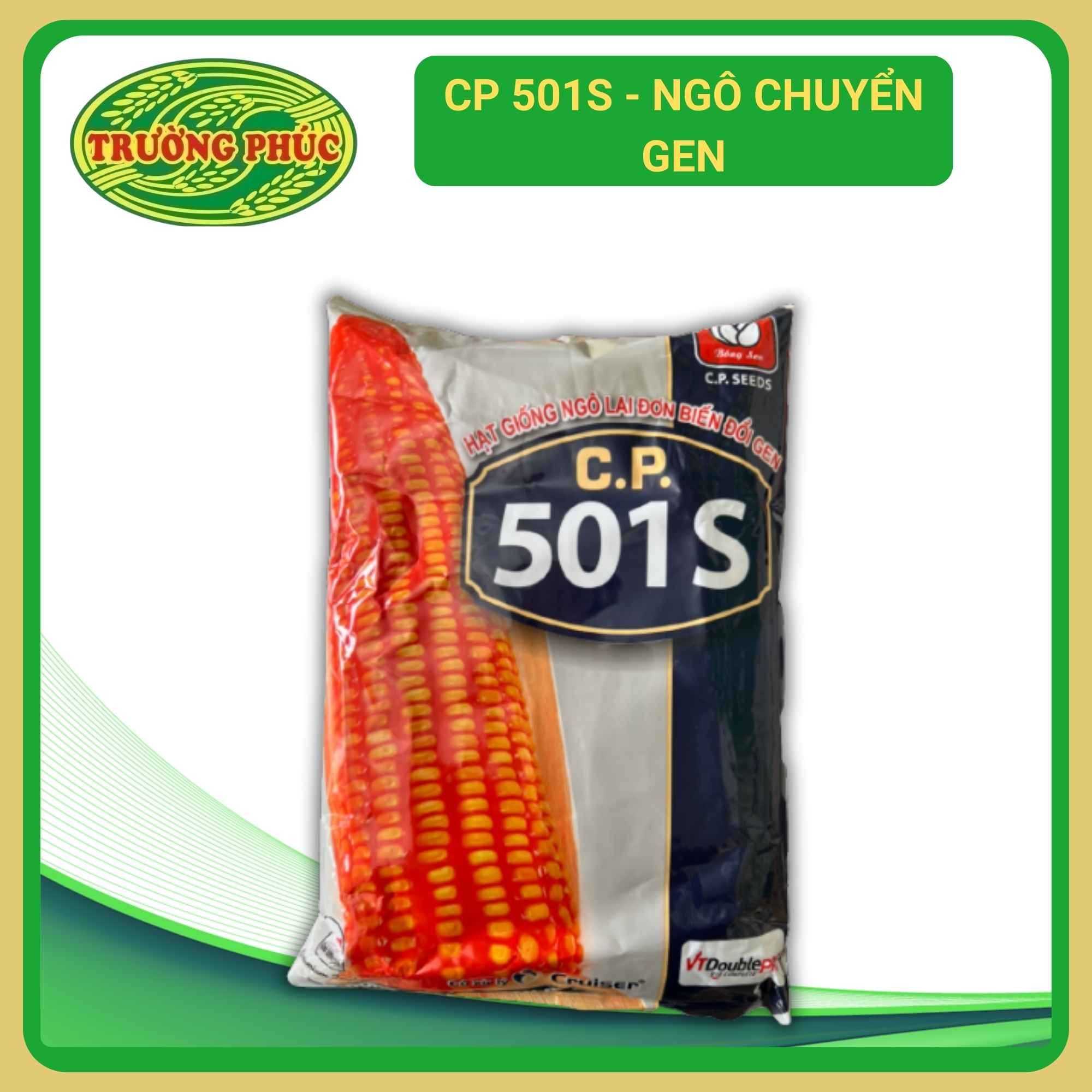 CP 501s - Ngô ( bắp) chuyển gen (1 kg)