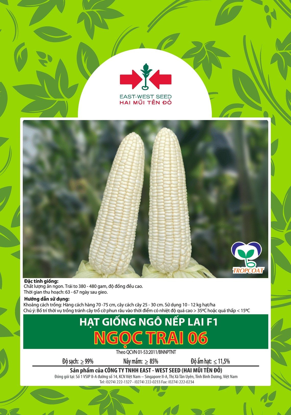 Ngọc Trai - Ngô ( bắp) nếp lai F1 (100g)
