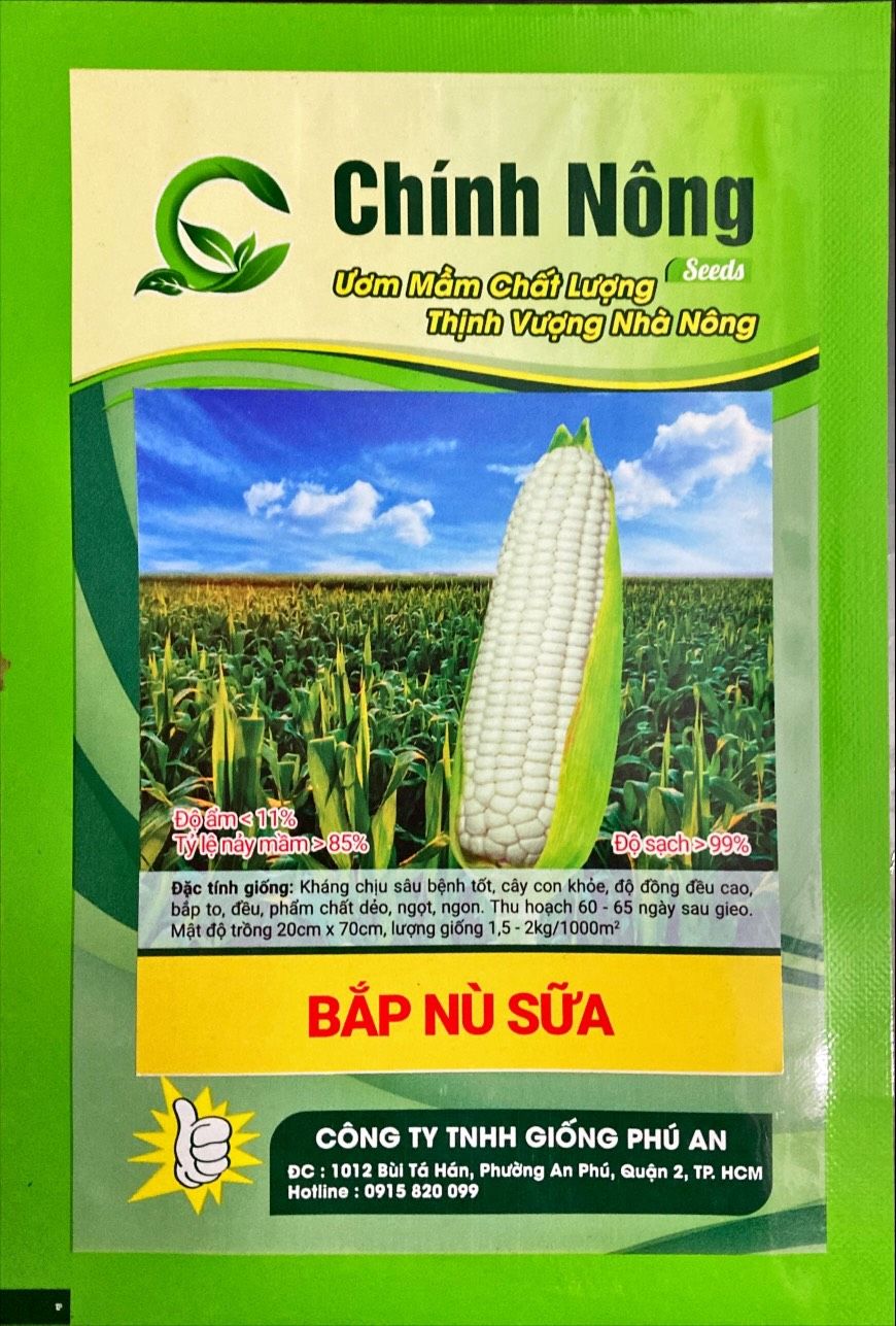 Ngô ( bắp ) nù sữa (100 g)