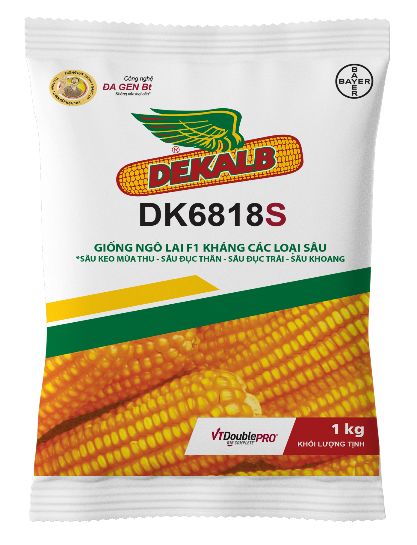 DK 6818s - Ngô ( bắp ) chuyển gen (1 kg)