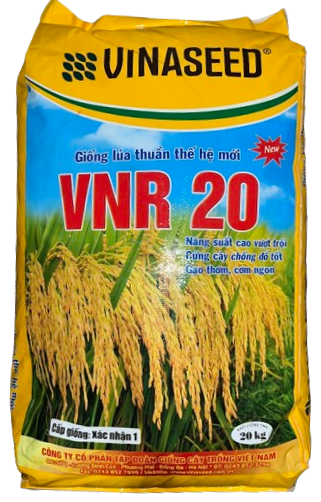 VNR20 VINASEED (1 kg)