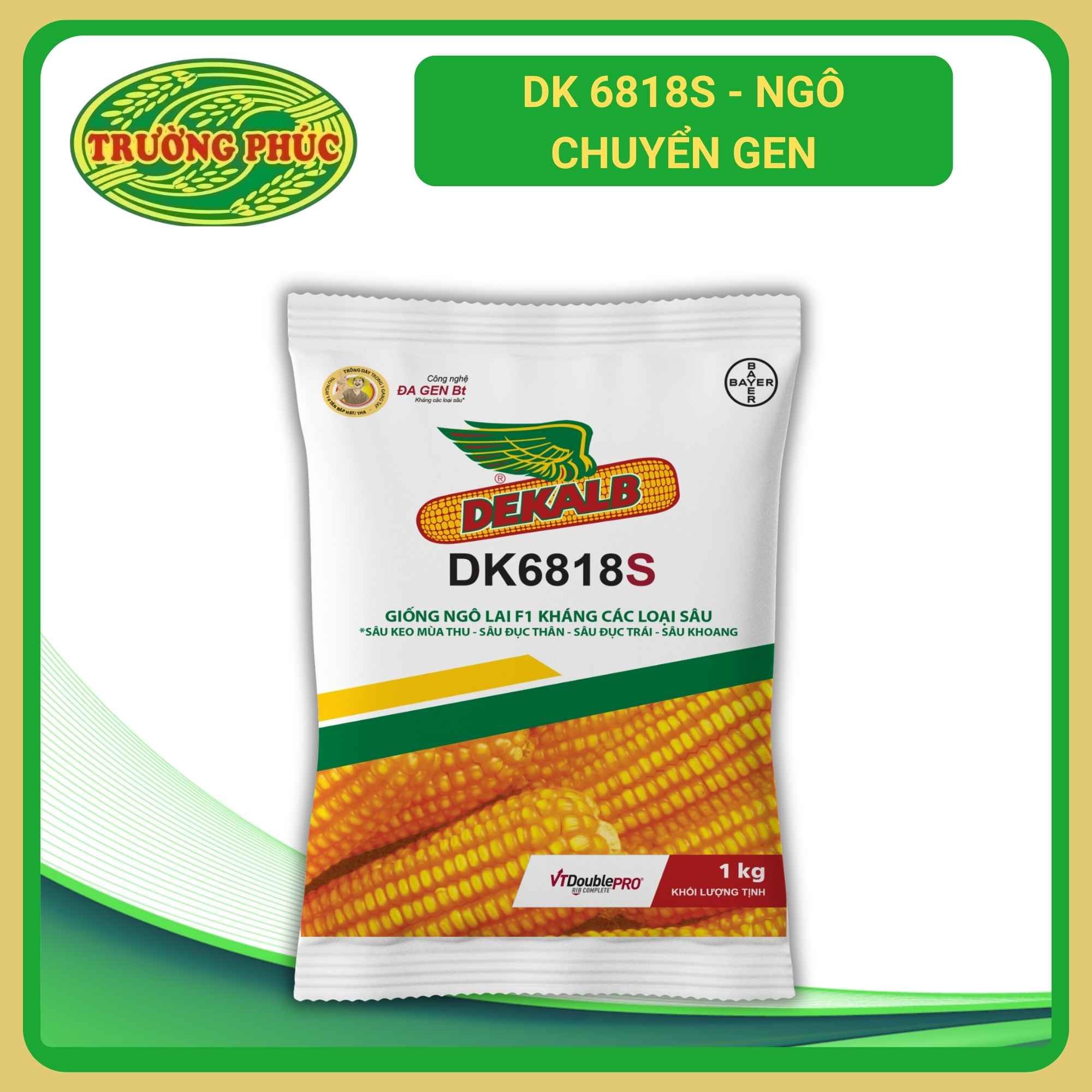 DK 6818s - Ngô ( bắp ) chuyển gen (1 kg)