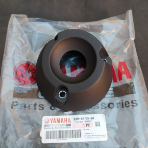 Chụp đuôi pô WR155 chính hãng Yamaha