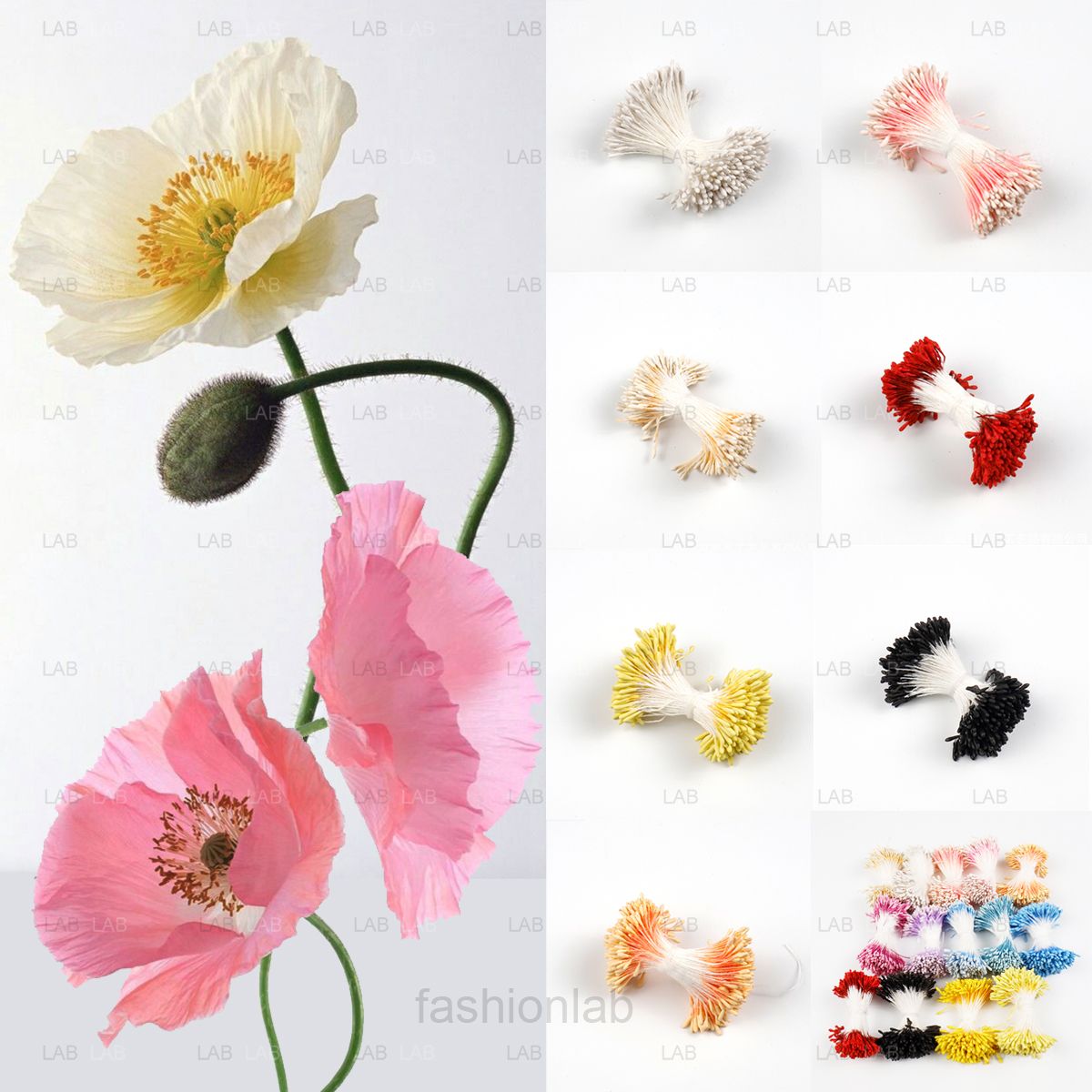 Nhuỵ hoa giả hình giọt nước #010602