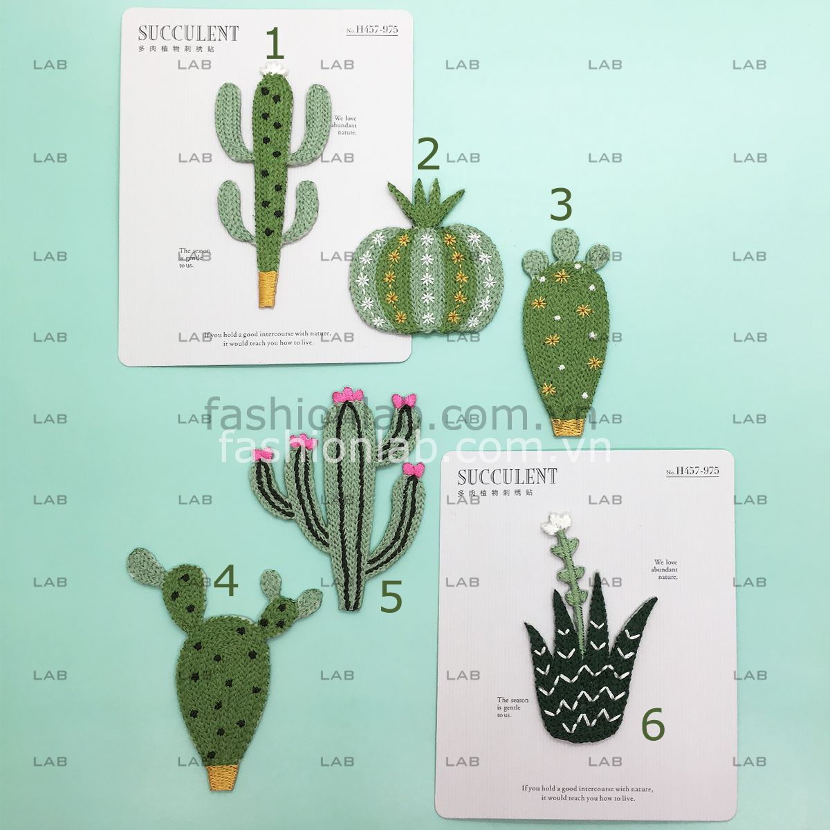 Hình thêu xương rồng #020501