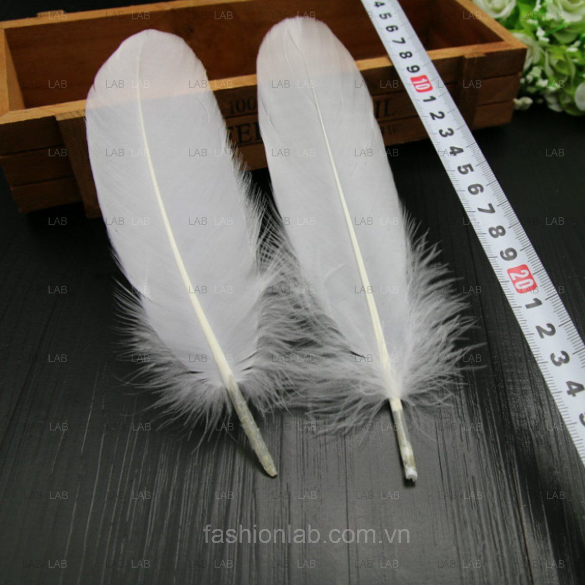Lông ngỗng 15-20cm #021201