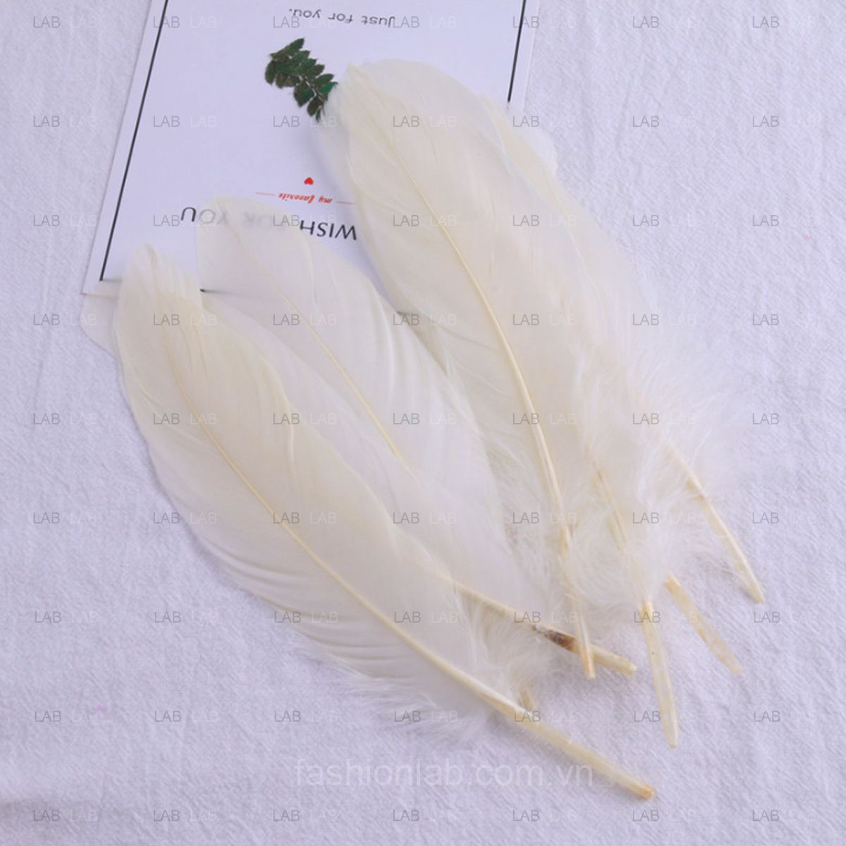 Lông ngỗng 15-20cm #021201