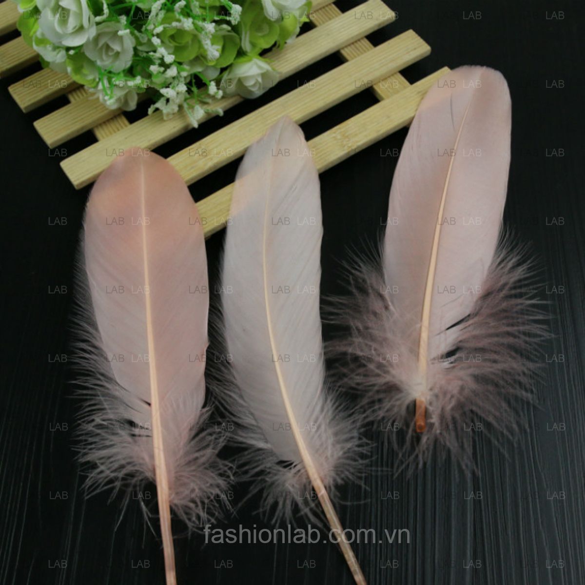 Lông ngỗng 15-20cm #021201
