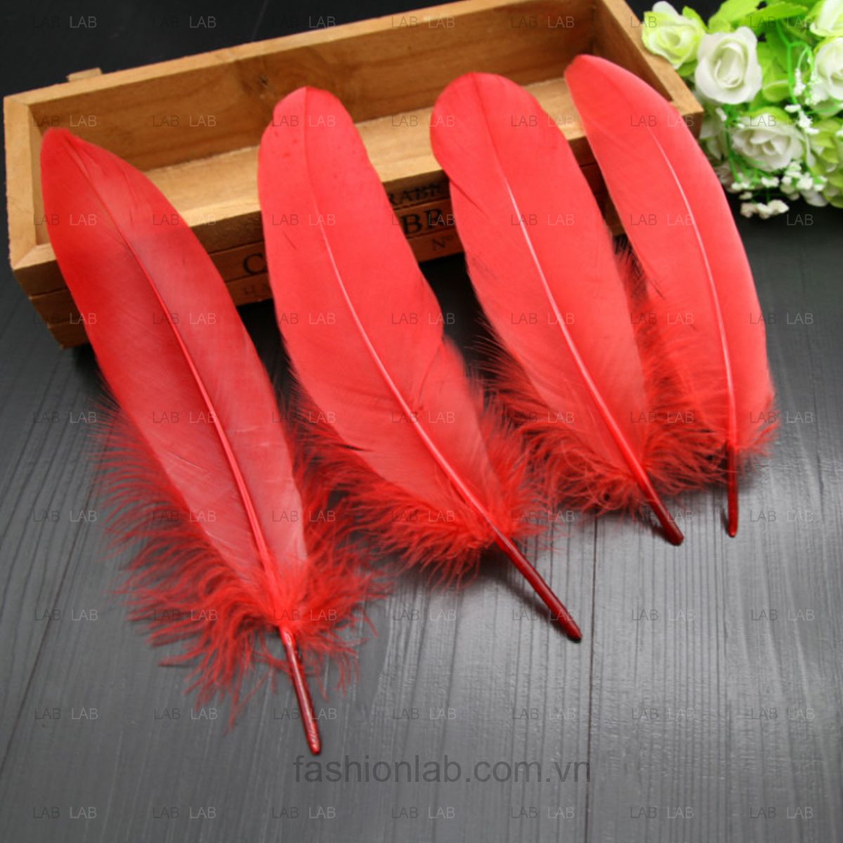 Lông ngỗng 15-20cm #021201