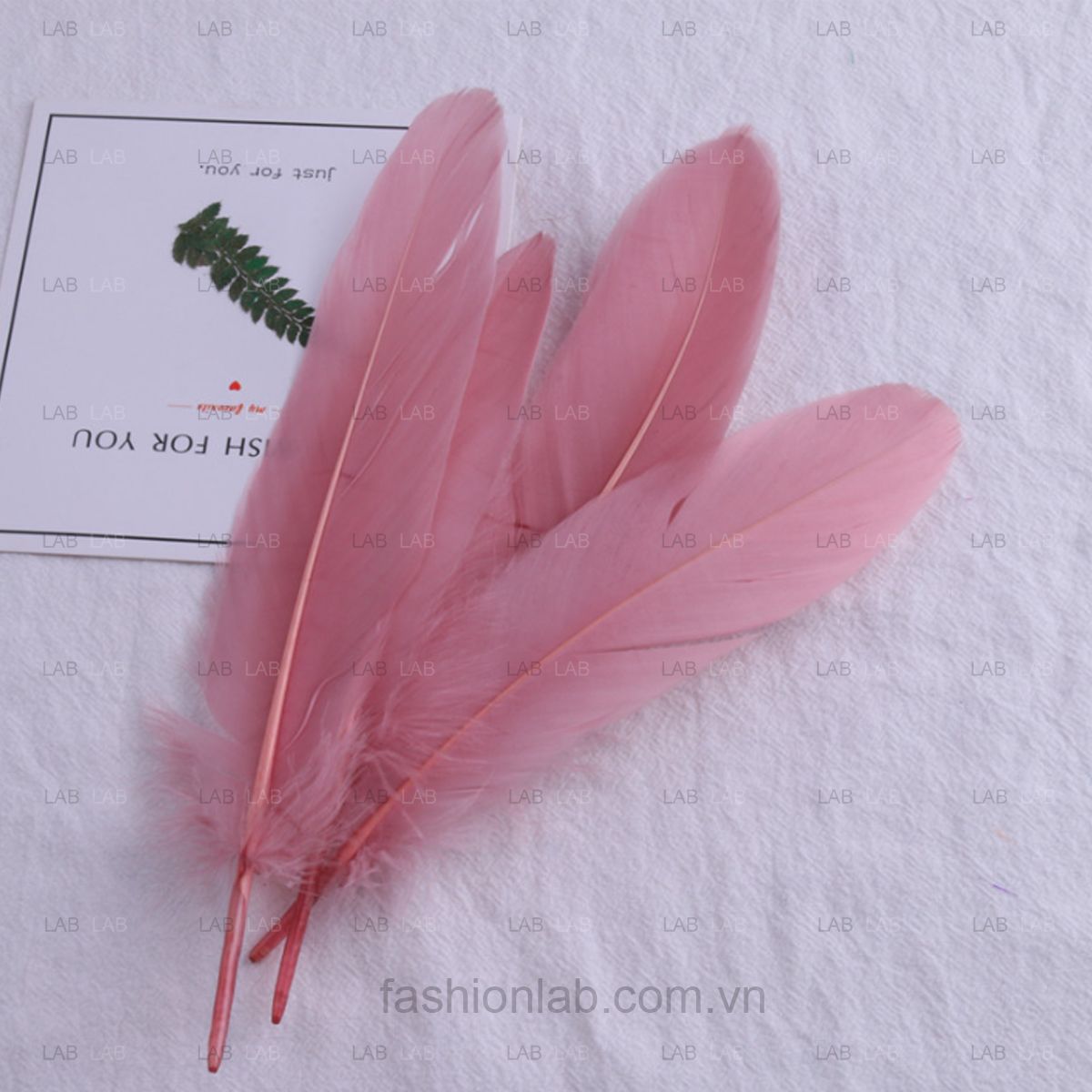 Lông ngỗng 15-20cm #021201
