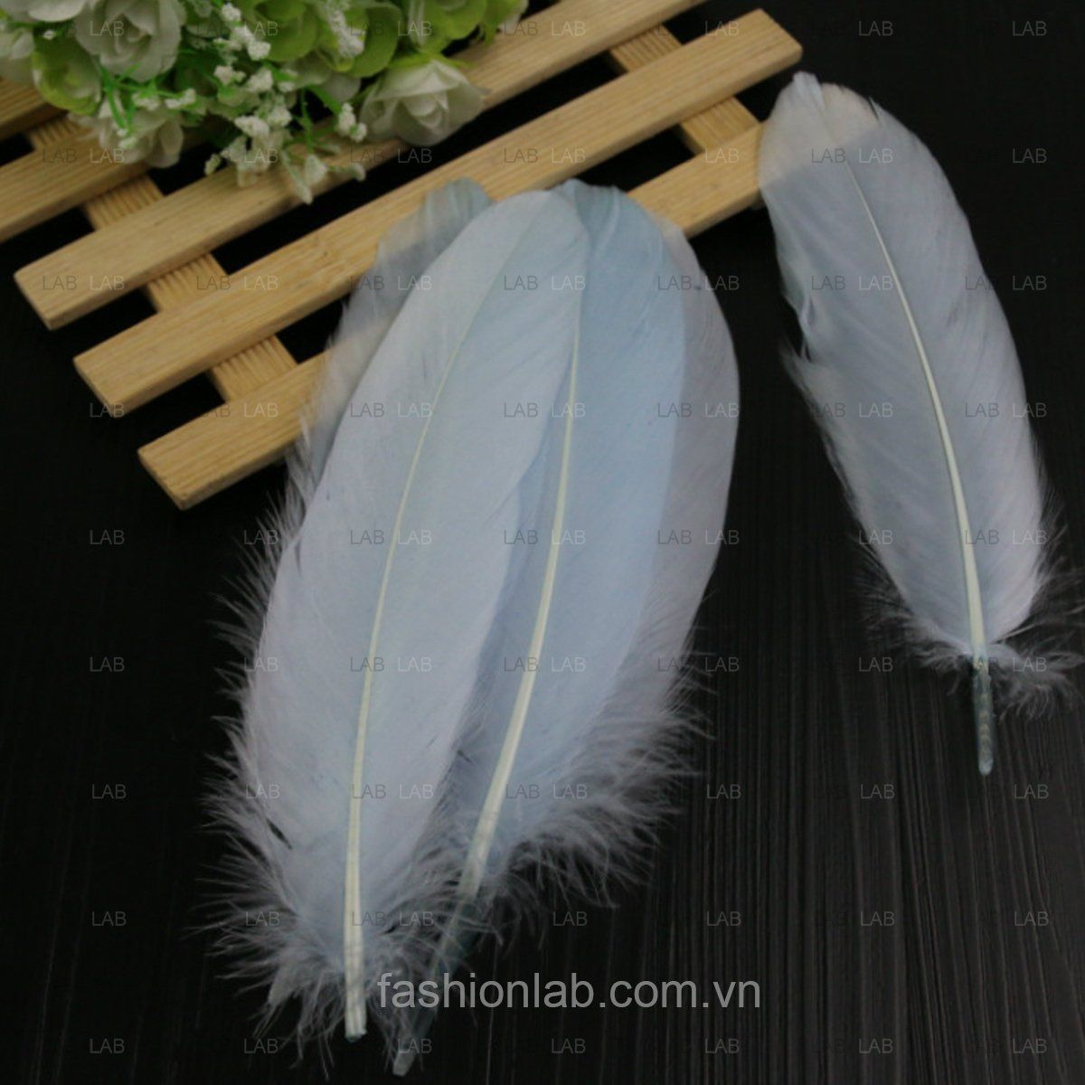 Lông ngỗng 15-20cm #021201
