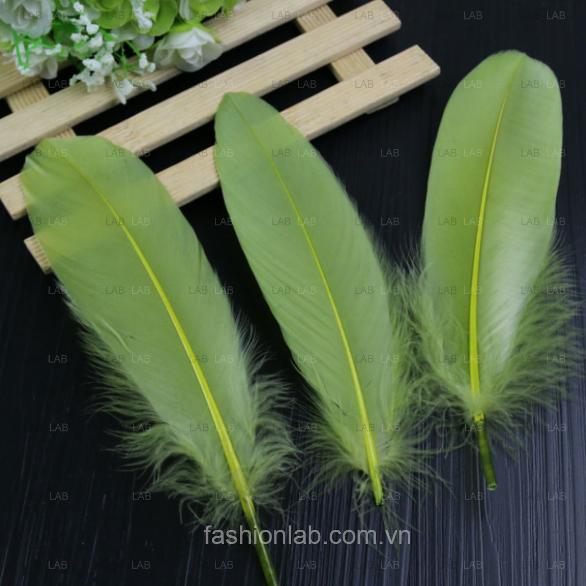 Lông ngỗng 15-20cm #021201