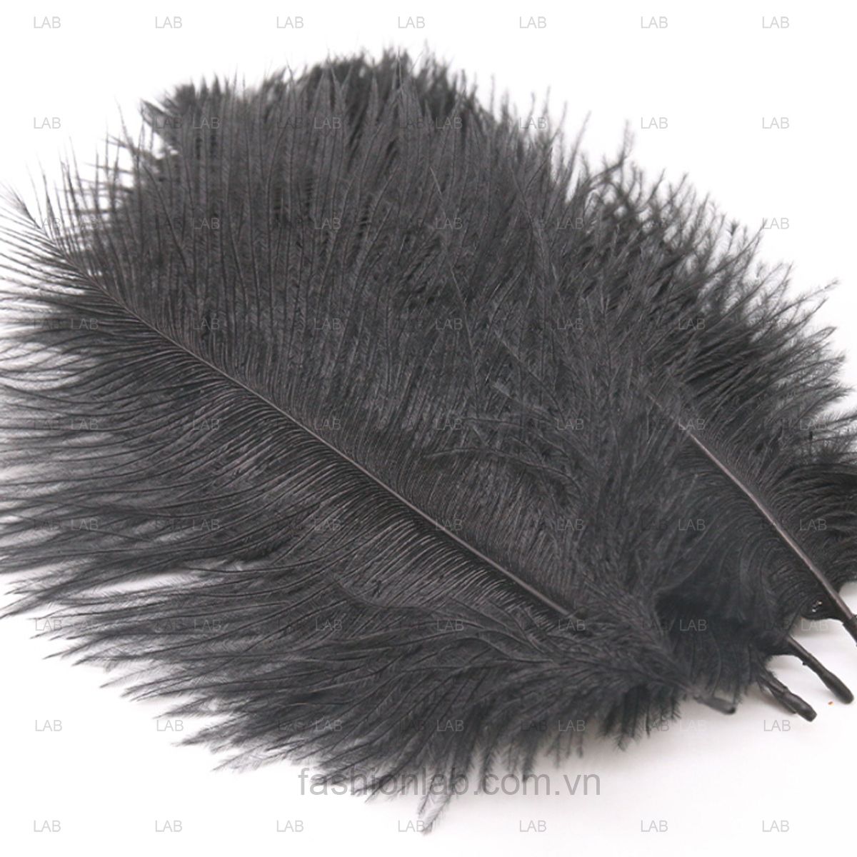 Lông đà điểu size 21-25cm #021201