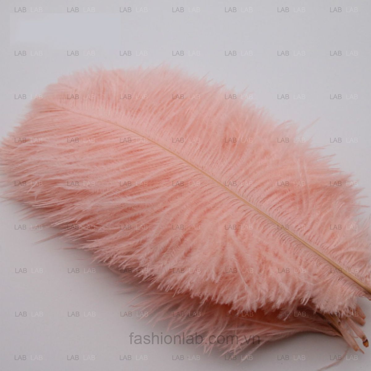 Lông đà điểu size 21-25cm #021201