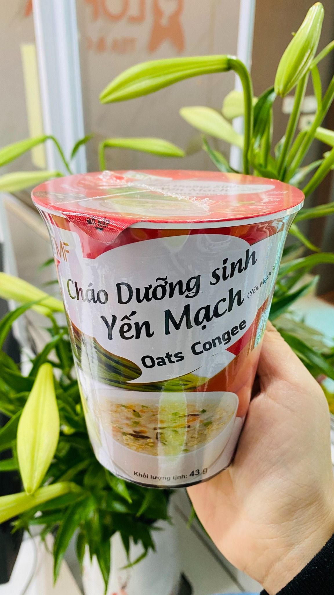 Cháo dưỡng sinh Yến Mạch