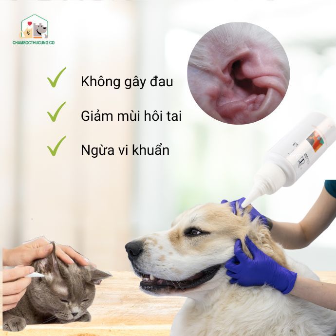  Bột Nhổ Lông Tai Cho Chó Mèo Petis Ear Powder- 5gr 