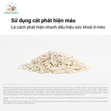  Cát Mèo- Cát Đậu Nành- Phát Hiện M.á.u- Pidan- Túi 2.4kg 