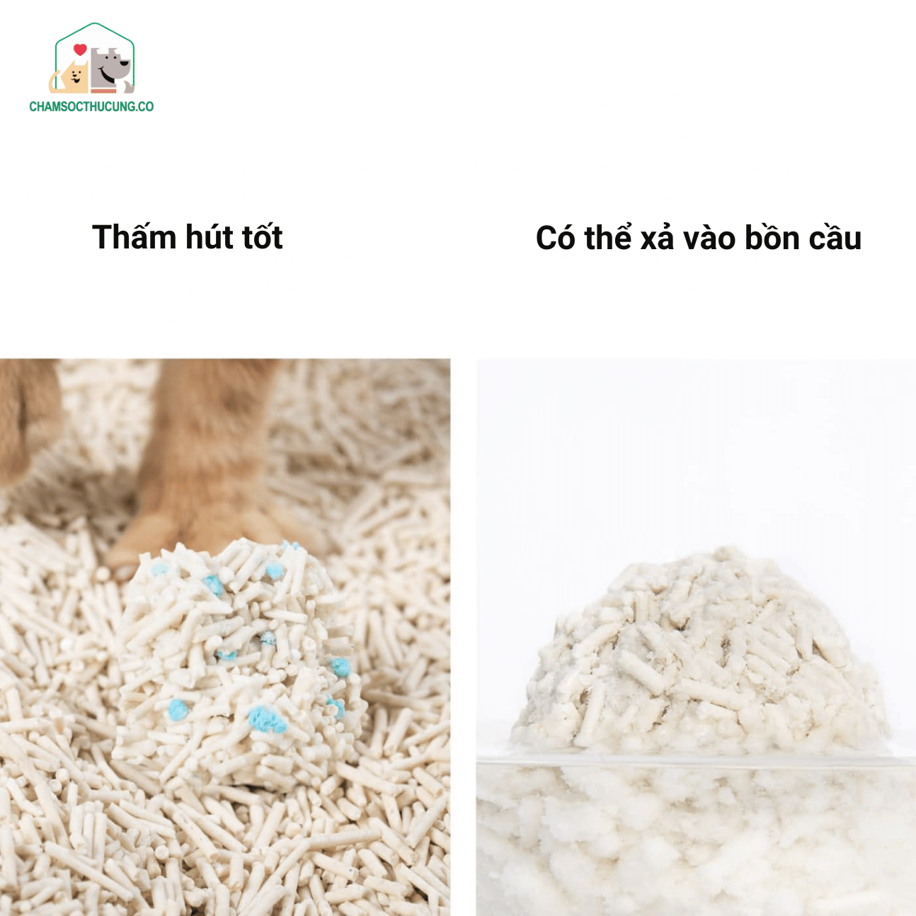  Cát Mèo- Cát Đậu Nành- Phát Hiện M.á.u- Pidan- Túi 2.4kg 