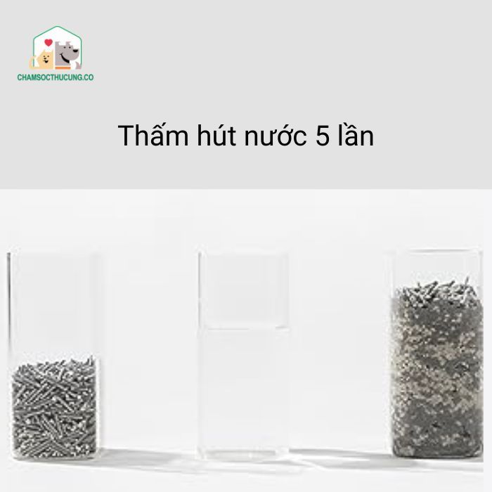  Cát Mèo-Cát Hỗn Hợp Kết Hợp Than Hoạt Tính 3IN1- Khử Mùi Tốt- Ít Bụi- Pidan- 5kg2 