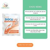  Doca Lyte- Bù Nước, Điện Giải Cấp Tốc Cho Chó Mèo- Vemedim 