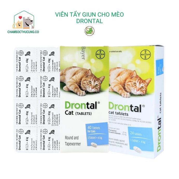  Viên Tẩy Giun Cho Mèo Drontol Bayer - Hàng cao cấp 