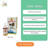  Dung Dịch Tăng Sức Lực Cho Chó Mèo Butamin Cho Chó Mèo Kén Ăn- Winsgroup 20ml 