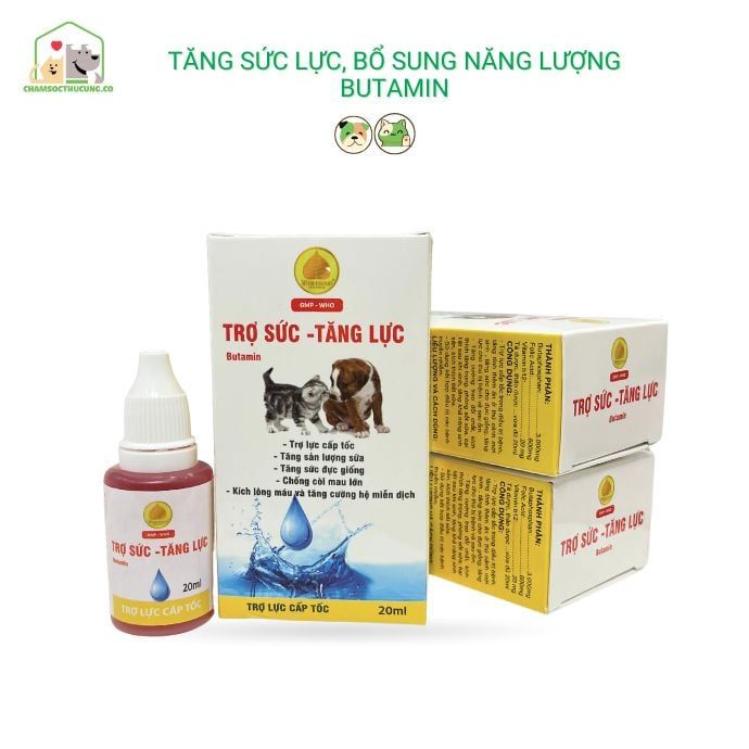  Dung Dịch Tăng Sức Lực Cho Chó Mèo Butamin Cho Chó Mèo Kén Ăn- Winsgroup 20ml 