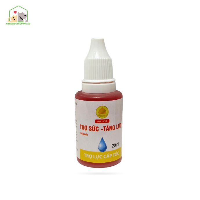  Dung Dịch Tăng Sức Lực Cho Chó Mèo Butamin Cho Chó Mèo Kén Ăn- Winsgroup 20ml 